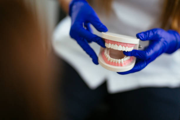 Reliable Bedford, OH Holistic Dental Care Services Solutions